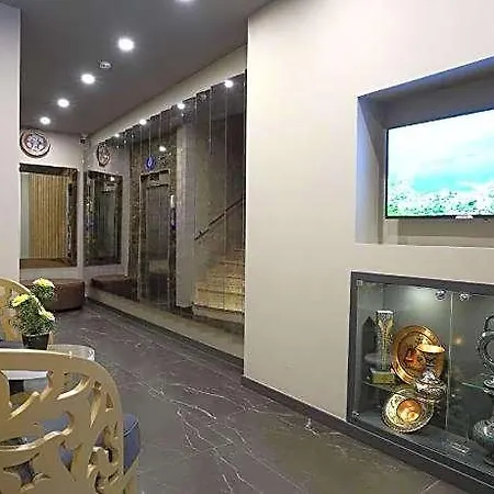 מלון Homey Airport 3*