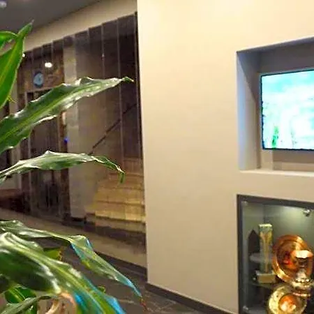 מלון Homey Airport 3*