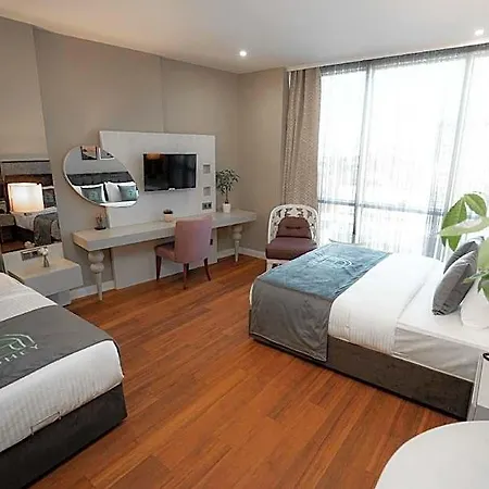 Homey Airport 3*